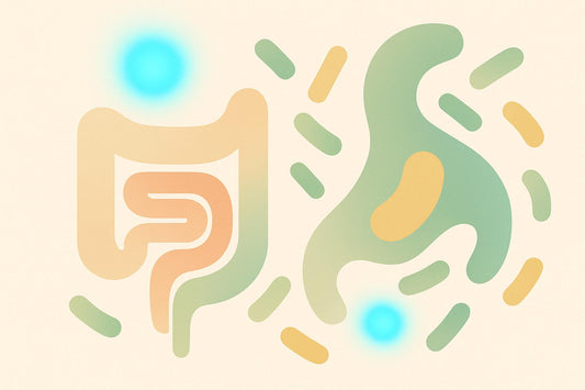 Gut Microbiome's Role in Stress-Related Inflammation