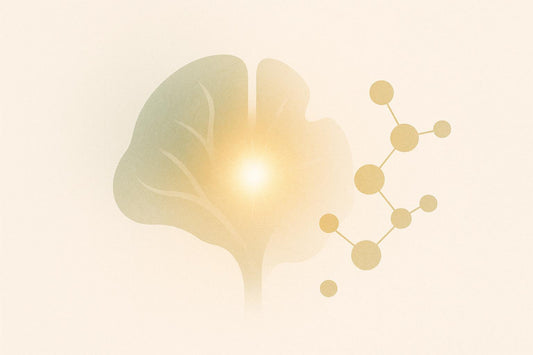 How Selenium Supports Glutathione Peroxidase in Neurons