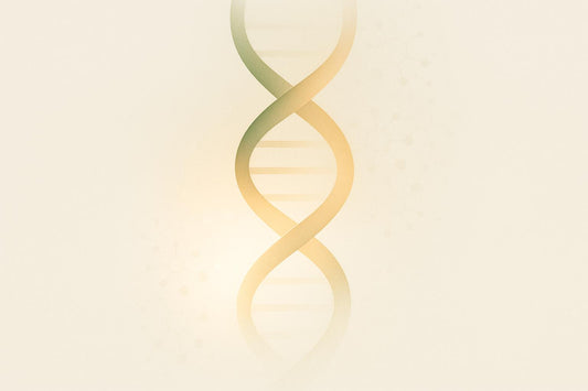 Machine Learning for DNA Methylation Age Prediction