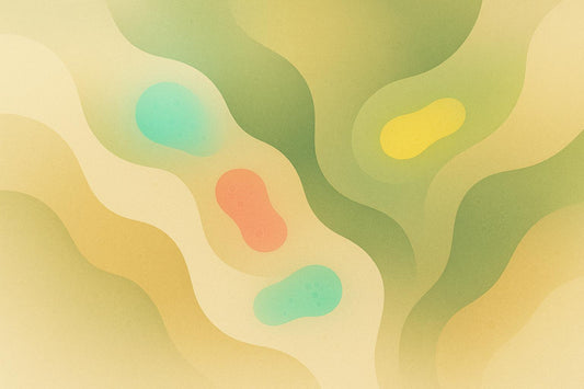 Ultimate Guide to Gut Microbiota Diversity