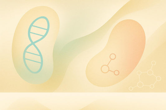 Oxidative Stress and Mitochondrial DNA Mutations