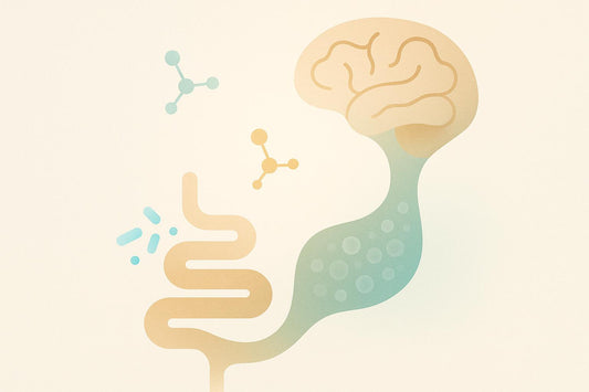 How Gut Microbiome Impacts Brain Aging
