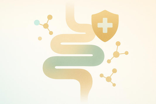 Gut-Immune Axis: 5 Nutritional Tips for Aging Well