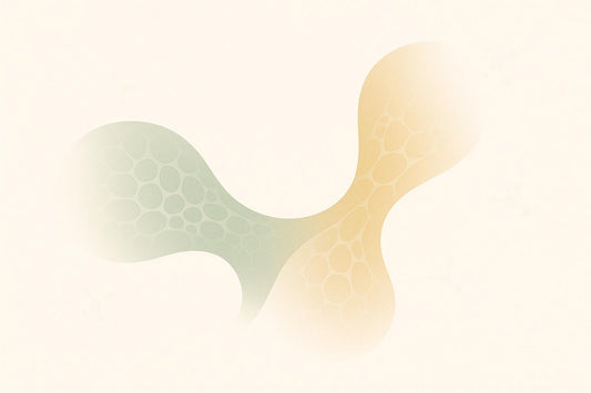 Gut Dysbiosis and Immune Aging: Key Links