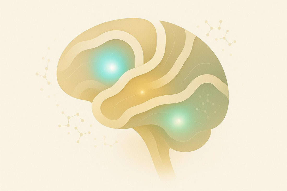 NMN and Brain Energy Metabolism
