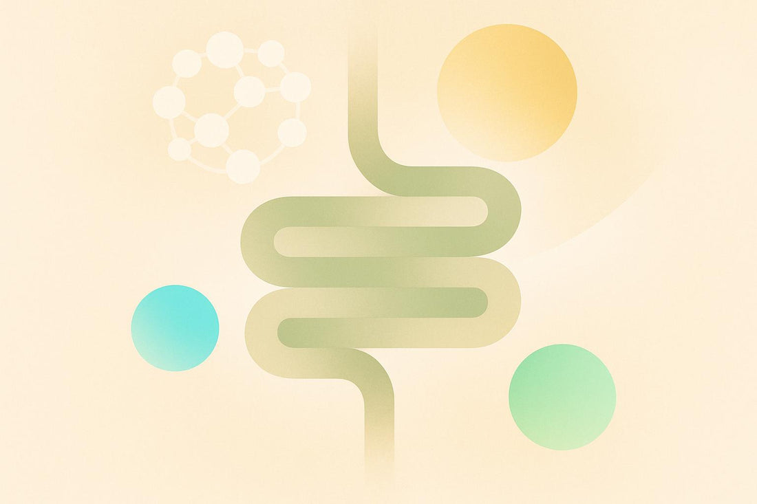 Prebiotics and Systemic Inflammation: What Studies Show