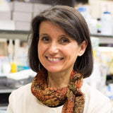 Professor Ana Maria Cuervo