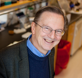Professor Jack Szostak