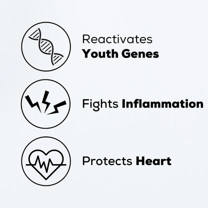 Premium RESVERATROL