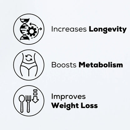 Premium SPERMIDINE