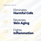 Premium Fisetin — benefits