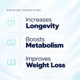 Premium Spermidine — bienfaits